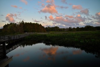 Green-cay-wetlands-parc-boynton-beach-Floride-3627