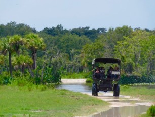 Billie-Swamp-Safari-Floride-5911