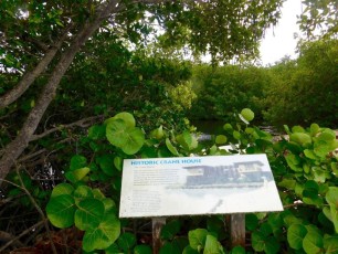 Crane-point-Park-Marathon-Keys-Floride-5312