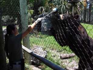 Palm-Beach-Zoo-5638