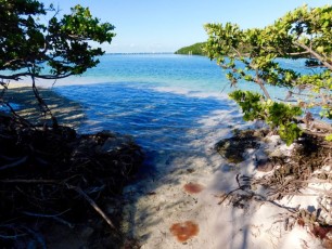 Plage sur l'île de Boca Chita Key, dans le Biscayne National Park