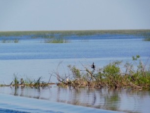 Le Lac Okeechobee à Lake Port (en Floride)