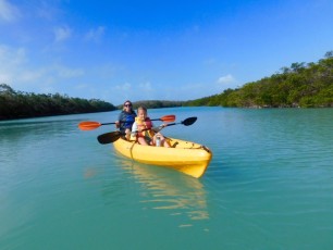 Kayak dans la mangrove sur l'île d'Islamorada dans l'archipel des Keys de Floride