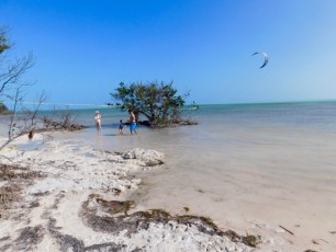 Plage-Anne-s-Beach-Islamorada-Keys-de-Floride-4434