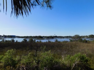 Cemetary Point Park, sur l'île de Cedar Key en Floride.