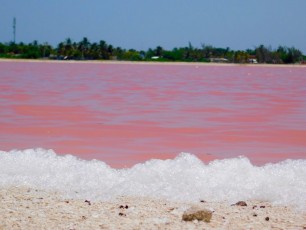 Les époustouflants lacs roses de Las Coloradas au Yucatan