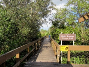 Daggerwing Nature Center à Boca Raton