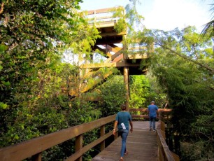 Boca-Raton-Daggerwing-Nature-Center-parc-1125