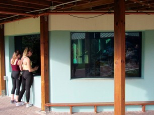 Gumbo Limbo Nature Center à Boca Raton