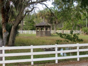 Babcock-Ranch-preserve-Floride3241