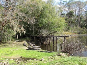Babcock Ranch Preserve, à Punta Gorda en Floride