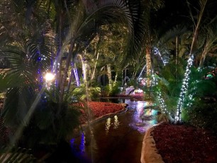 Hoffmans-chocolate-factory-lake-worth-Palm-Beach-decorations-illuminations-noel-7433