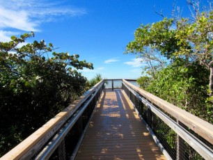 stump-pass-State-Park-Manasota-Key-englewood-Floride-3675