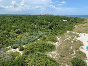plage-cape-florida-state-park-phare-key-biscayne-Miami-3074