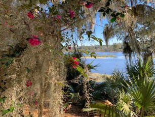 Magnolia Plantation à Charleston
