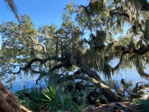 Magnolia Plantation à Charleston