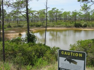 St George Island State Park en Floride