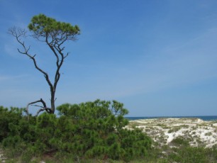 St George Island State Park en Floride