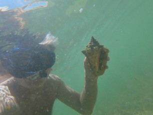 Le site de snorkeling d'Indian Key, dans l'archipel des Keys de Floride