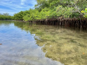 Le lagon de Virginia Key, à Miami