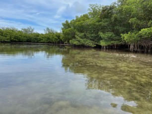 Le lagon de Virginia Key, à Miami