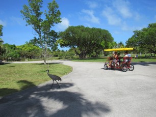 L'ex-zoo de Miami, au sud de Crandon Park sur Key Biscayne