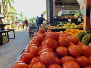 Le Yellow Green Farmer's Market de Hollywood