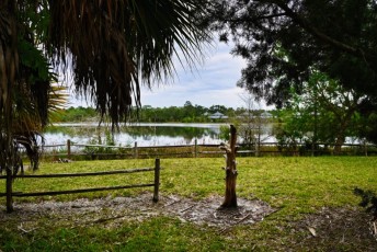 hog-hammock-trail-west-palm-beach-Floride-0721
