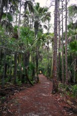 hog-hammock-trail-west-palm-beach-Floride-0736