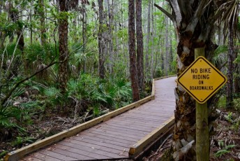 hog-hammock-trail-west-palm-beach-Floride-0740