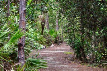 hog-hammock-trail-west-palm-beach-Floride-0757