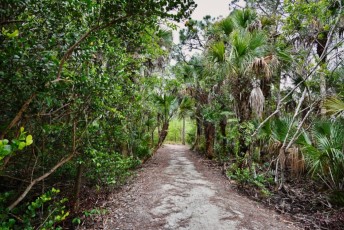 hog-hammock-trail-west-palm-beach-Floride-0769