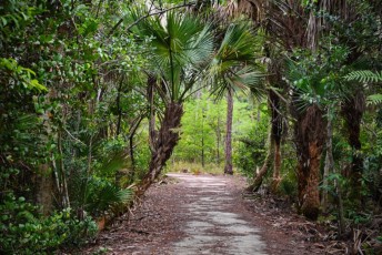 hog-hammock-trail-west-palm-beach-Floride-0770