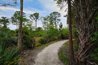 hog-hammock-trail-west-palm-beach-Floride-0774