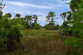 hog-hammock-trail-west-palm-beach-Floride-0776