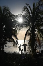 Hobbie-Island-Beach-Park-Plage-Miami-virginia-Key-8624