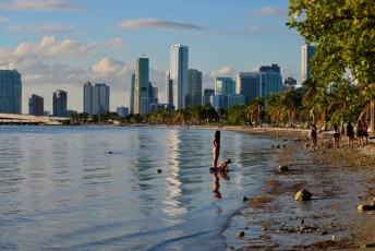Hobbie-Island-Beach-Park-Plage-Miami-virginia-Key-8677