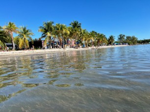 Hobbie-Island-Beach-Park-Plage-Miami-virginia-Key-8932