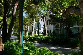 Paysages et vues générales de l'île de Key West en Floride.