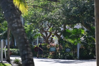 Paysages et vues générales de l'île de Key West en Floride.
