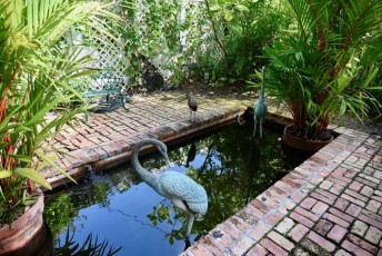 audubon-house-tropical-garden-Key-West-Floride-7311