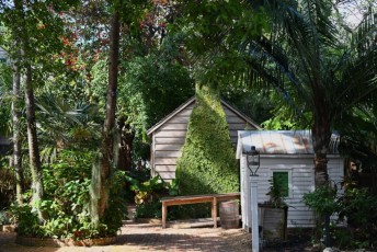 audubon-house-tropical-garden-Key-West-Floride-7314