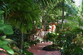 audubon-house-tropical-garden-Key-West-Floride-7332