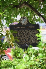 audubon-house-tropical-garden-Key-West-Floride-7352