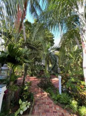 audubon-house-tropical-garden-Key-West-Floride-8359