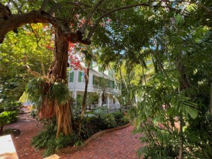 audubon-house-tropical-garden-Key-West-Floride-8363