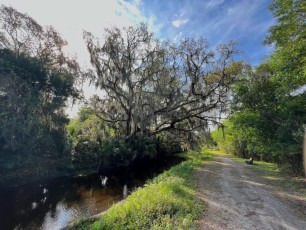 Egans-creek-Fernandina-Amelia-Island-Floride-0958