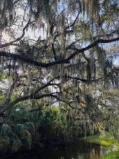 Egans-creek-Fernandina-Amelia-Island-Floride-0962