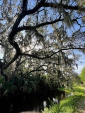 Egans-creek-Fernandina-Amelia-Island-Floride-0963