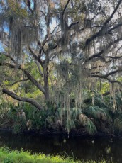Egans-creek-Fernandina-Amelia-Island-Floride-0965